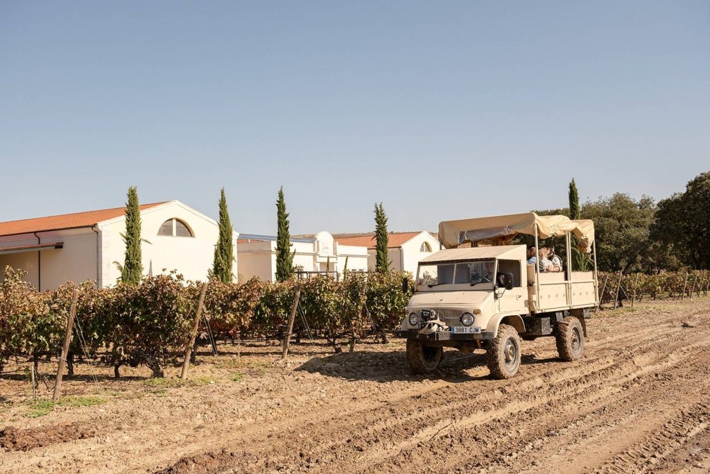 4×4 Vineyard Tour, Tasting and Appetizer + Cellar