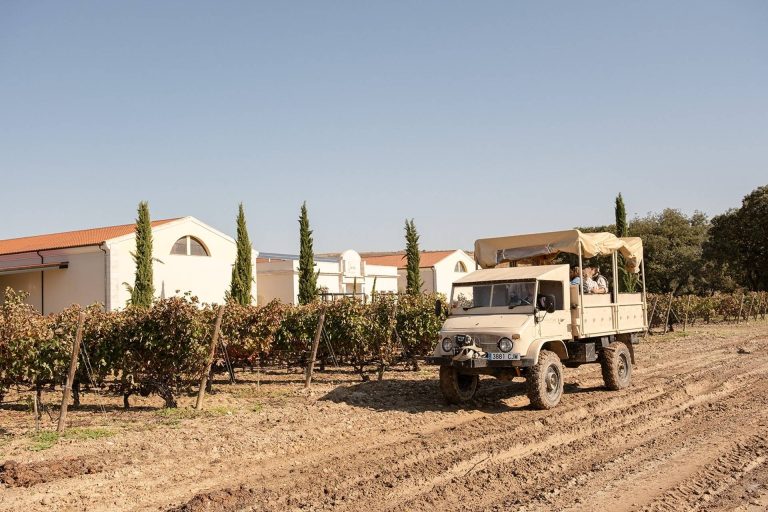 Viñas del Jaro