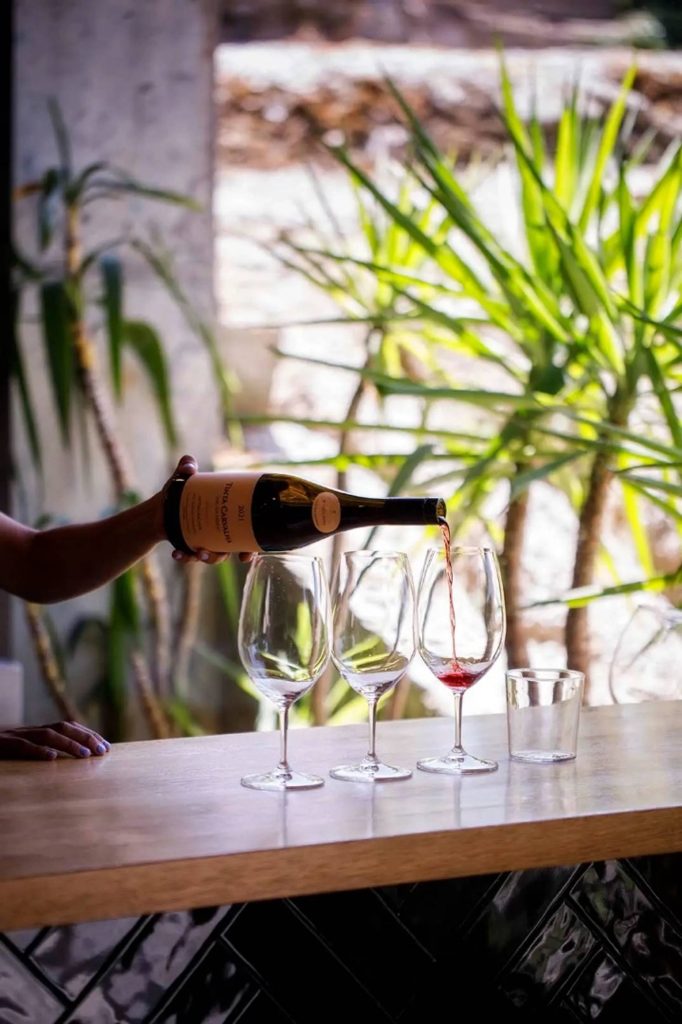 Terroir Tasting