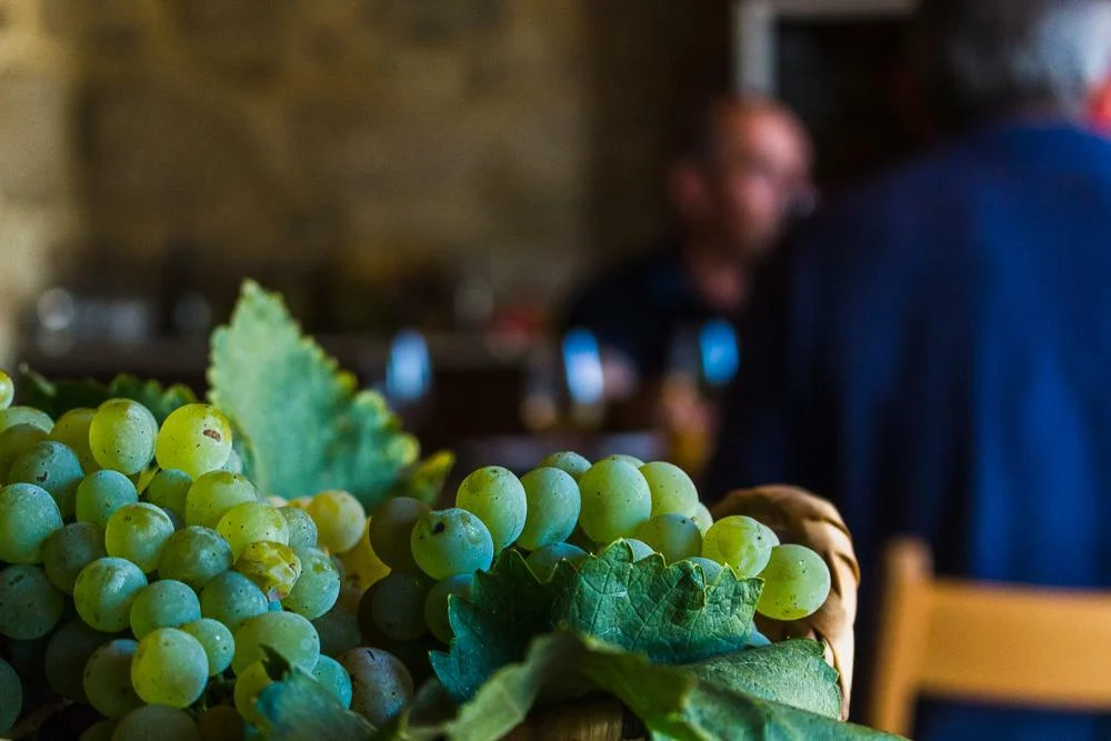 Casa Lata – Workshop de Vinhos Verdes