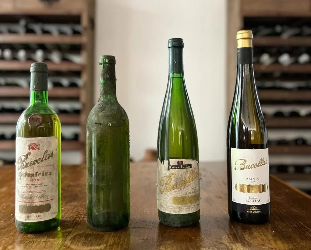 Quinta do Boição – Visita & Almoço