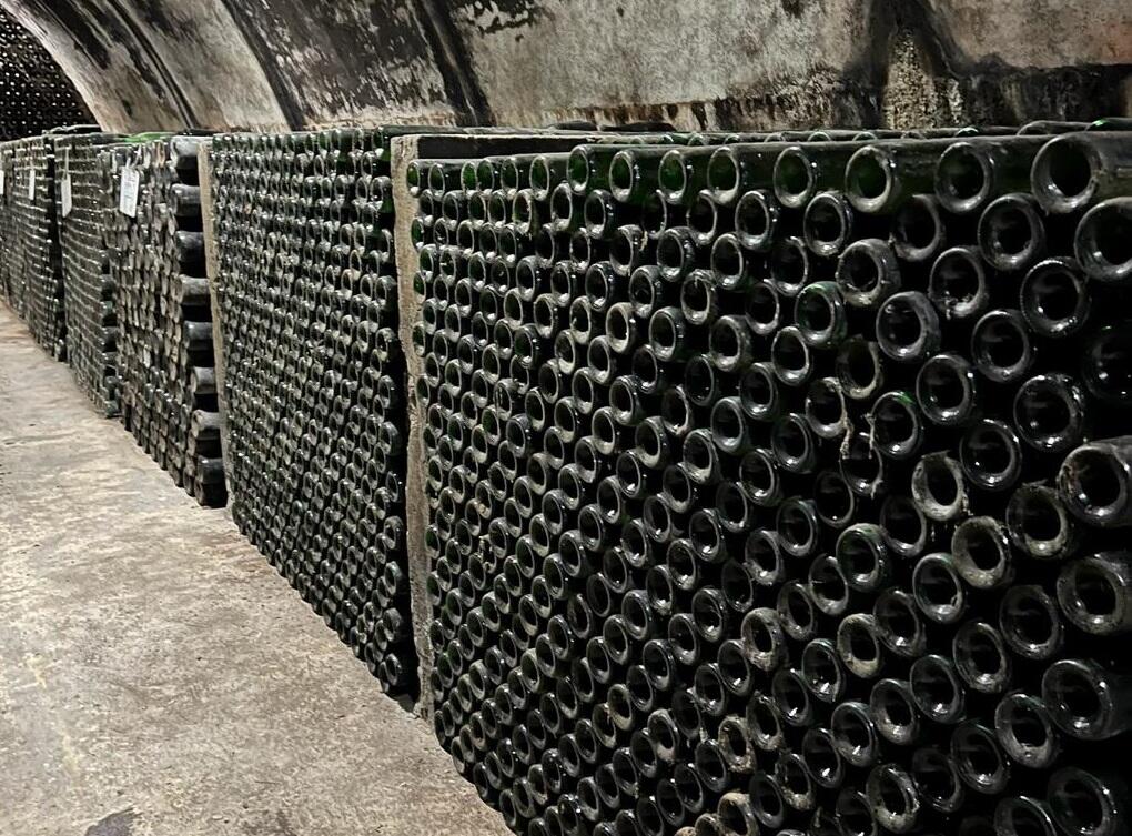 Quinta do Boição – Visita & Almoço