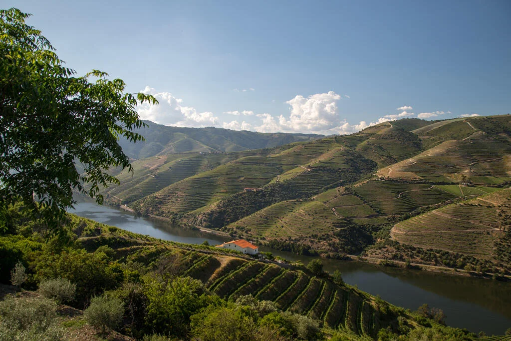 Douro Sommelier Tour