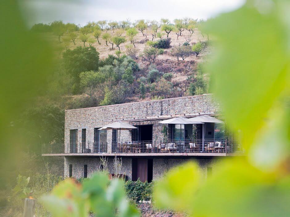 Quinta Vale do Sabor – Prova Vinhas do Sabor