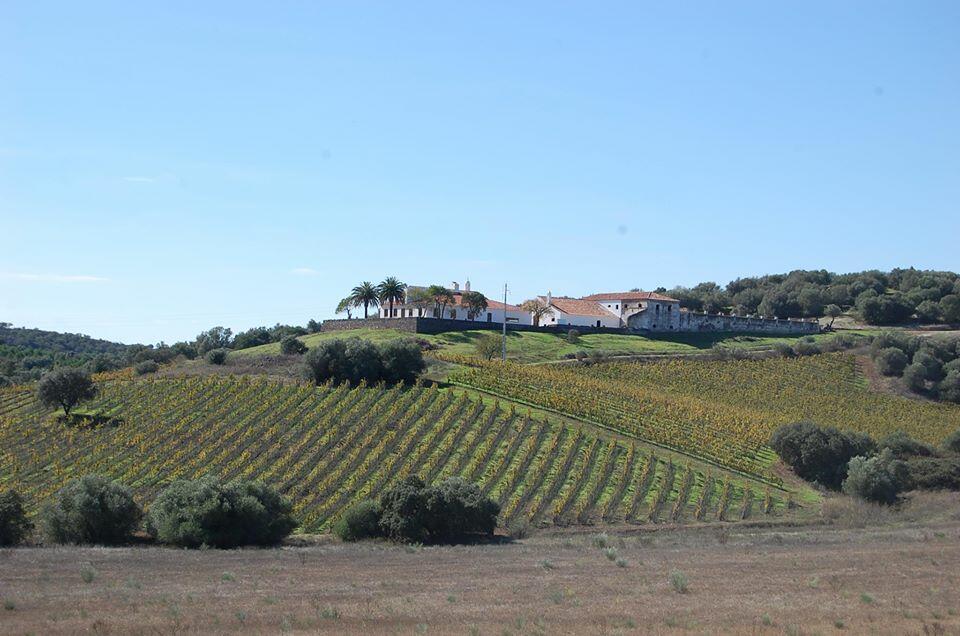 Herdade do Vau – Prova de Vinhos RISO