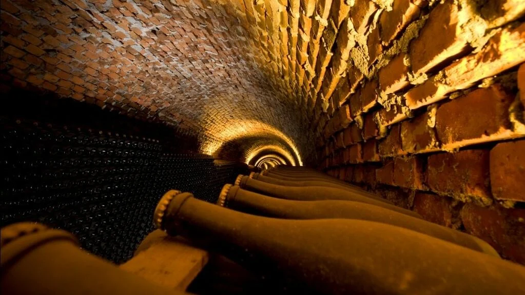 Rota dos Vinhos da Bairrada