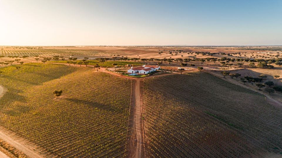 Herdade da Malhadinha Nova – Prova Premium