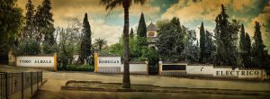 BODEGAS TORO ALBALÁ
