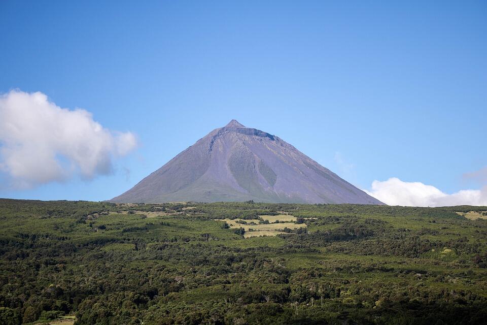 Pico Wine Tour – Privado