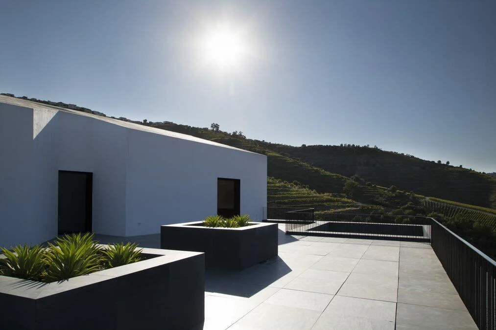 Quinta da Côrte – Visita & Prova Expert
