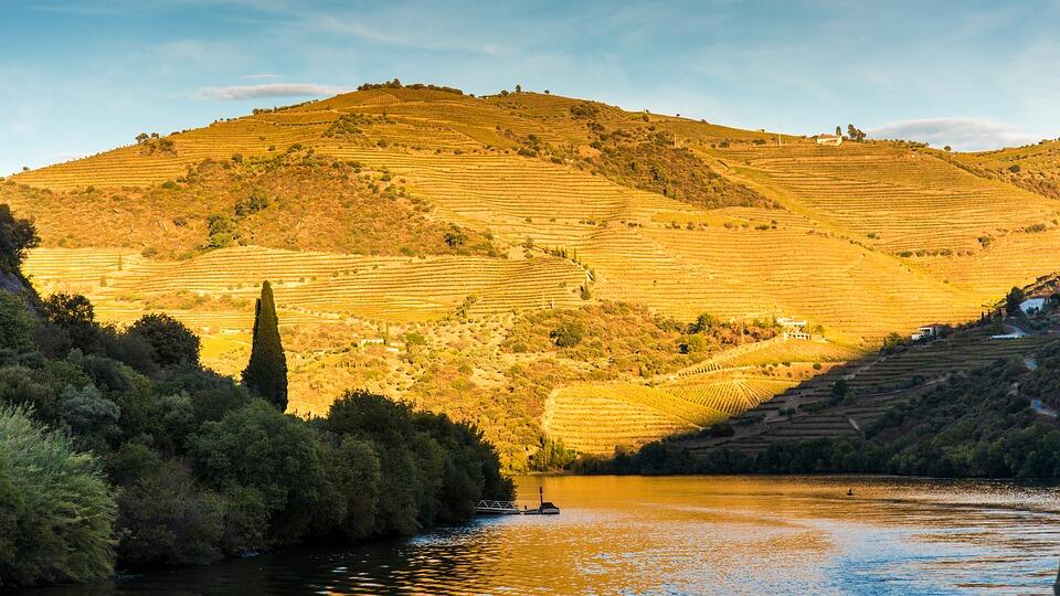 Douro Premium
