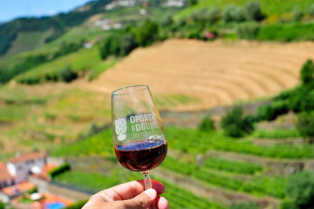 Tour Privado ao Douro Vinhateiro