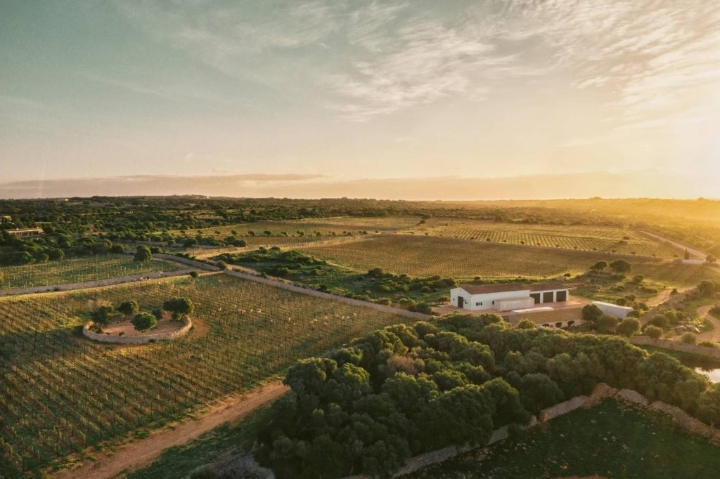 Bodegas Torralbenc Vell