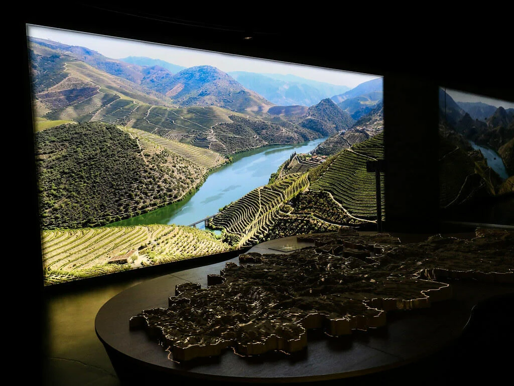 Caves Cálem – Tawny Experience