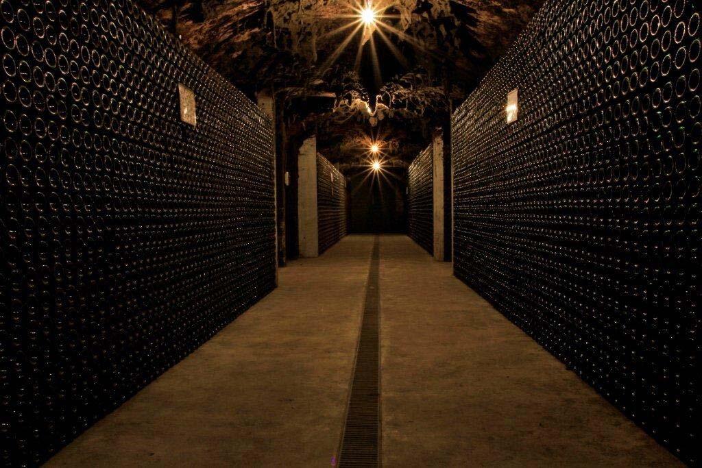 Caves São Domingos – Visita & Prova Baga Bairrada