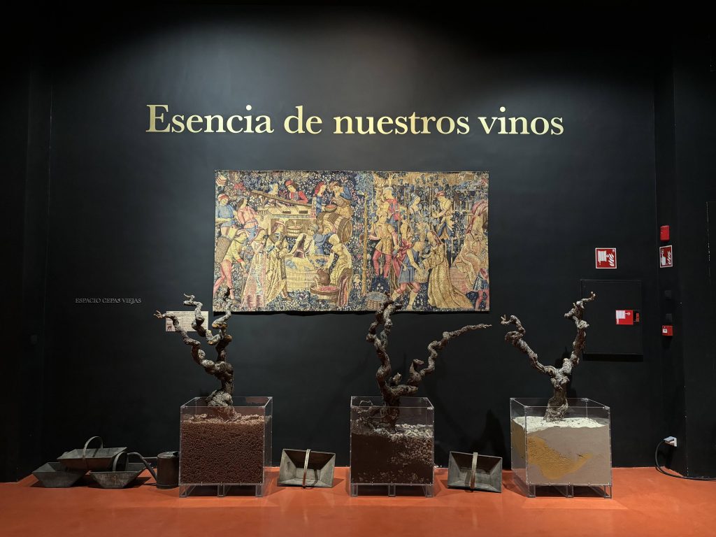 Visit to the winery