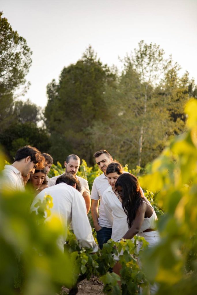 Visit Vins El Cep