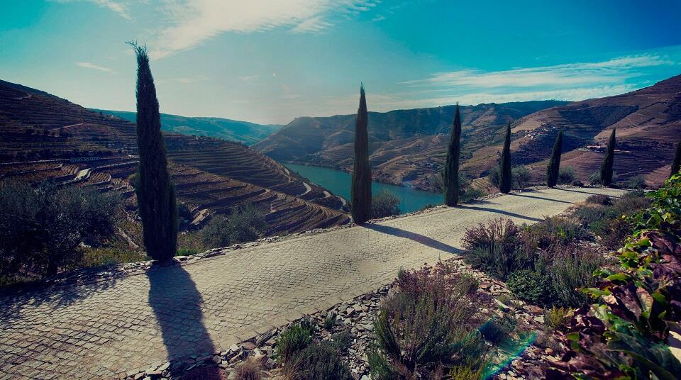 Quinta do Seixo – Visita Exclusiva