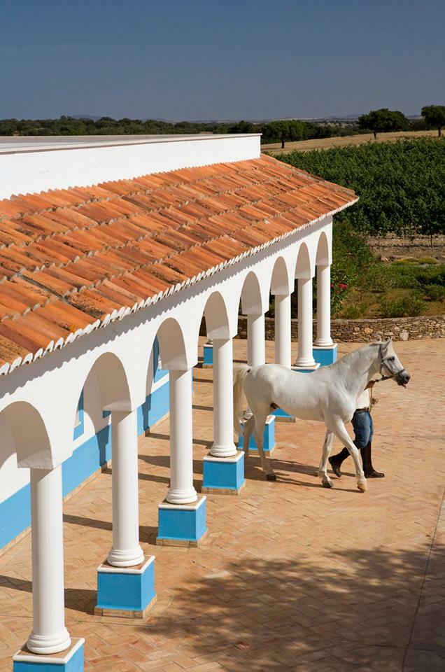 Herdade dos Grous – Prova TOP
