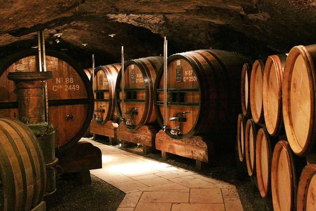 Immersion in Côte-Rôtie: Vines & E.Guigal Cellar
