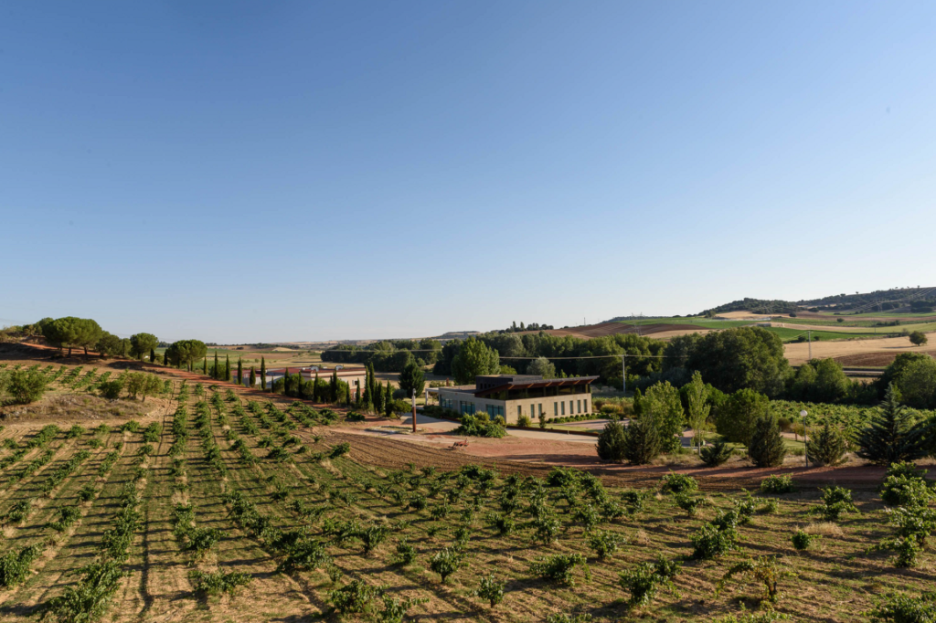 Piedra + Lagarona Experience