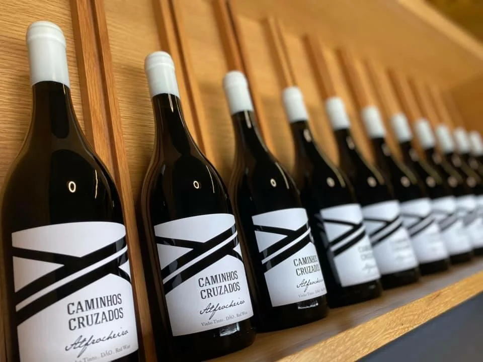 Caminhos Cruzados – Piquenique na Vinha