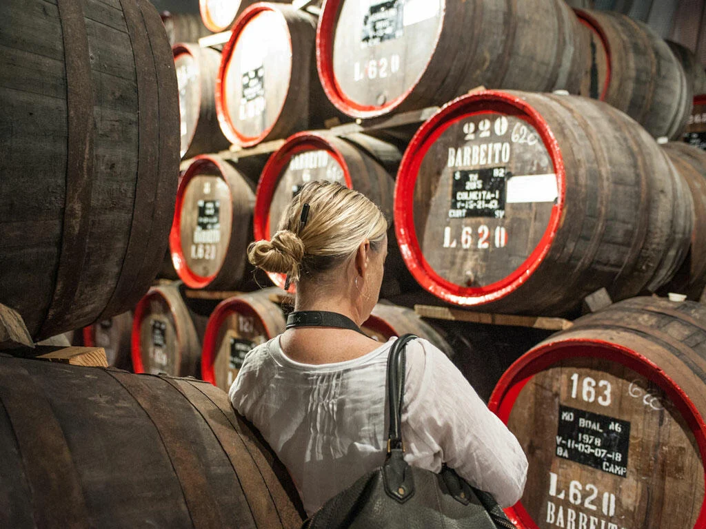Full Day Wine Tour