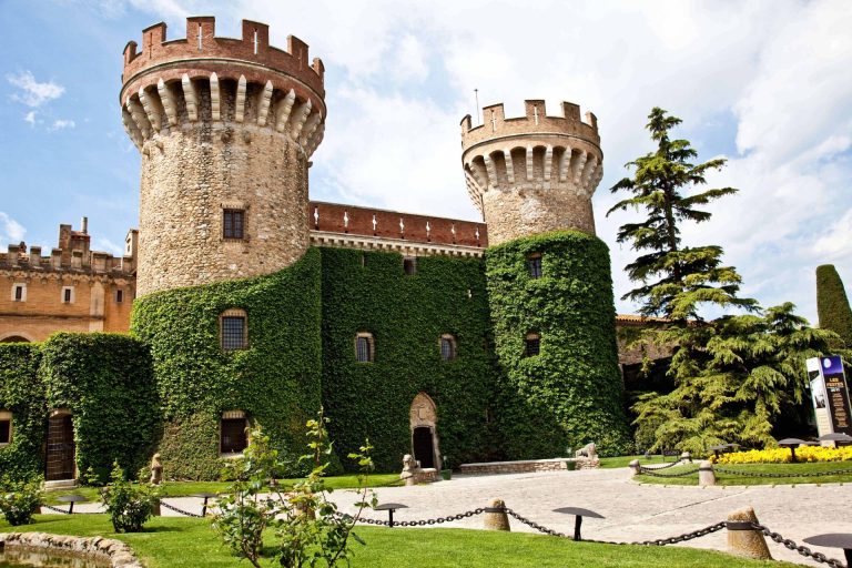 Winery and Castle Museum Visit