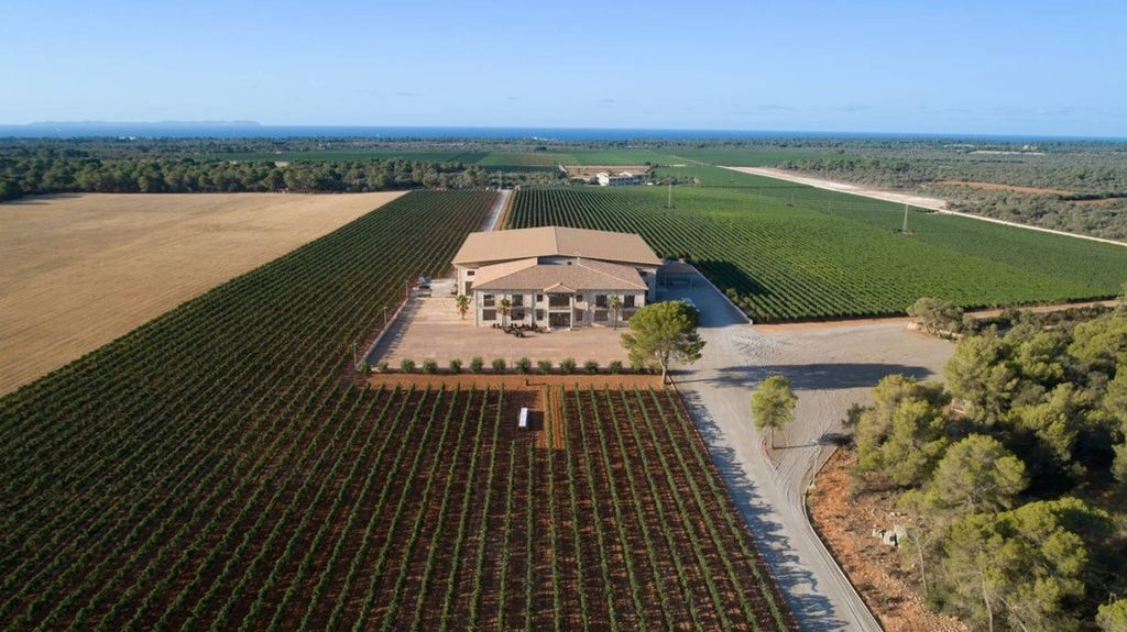 Bodegas Vi Rei