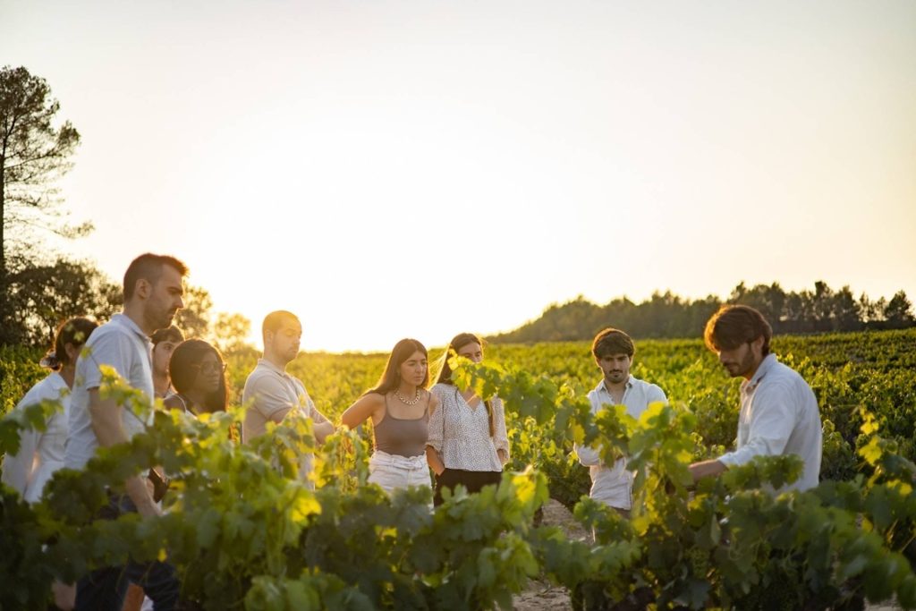 Visit Vins El Cep