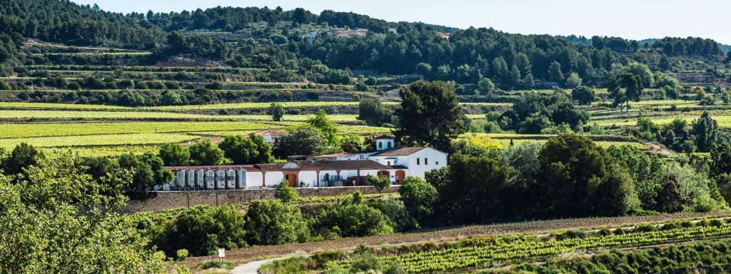 Celler Eudald Massana