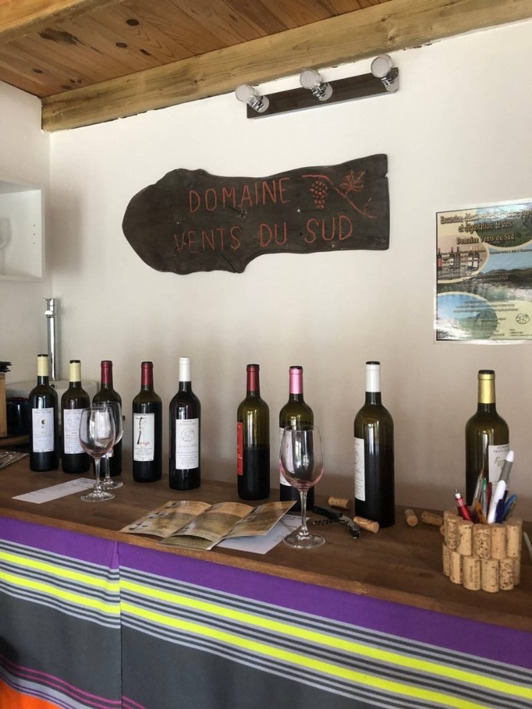 Tasting of 7 wines with food pairings: charcuterie, cheese and chocolate