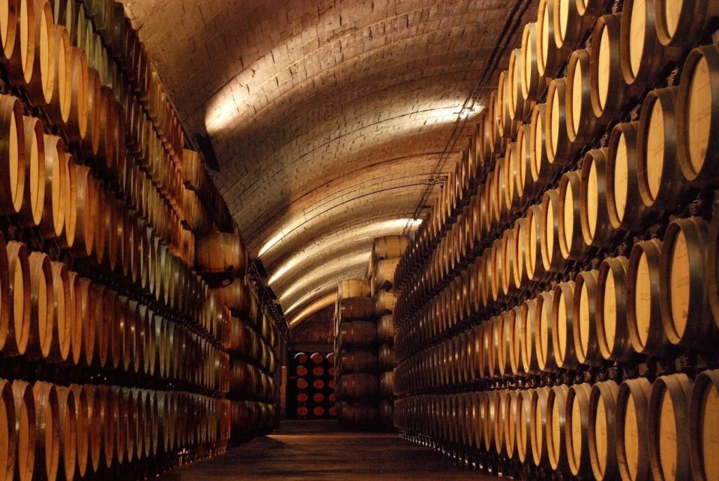 Visit and tasting Señorio de Los Llanos