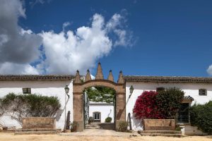 BODEGAS GÓNGORA