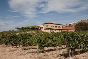 BODEGAS VALDUBÓN
