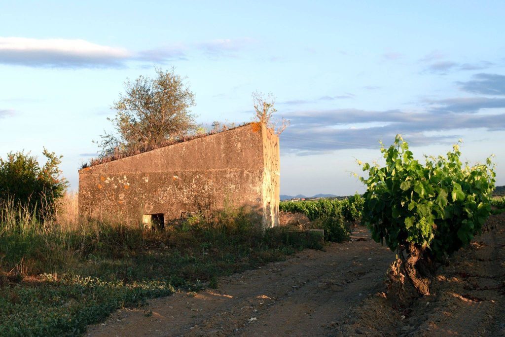 WINES & BUNKERS