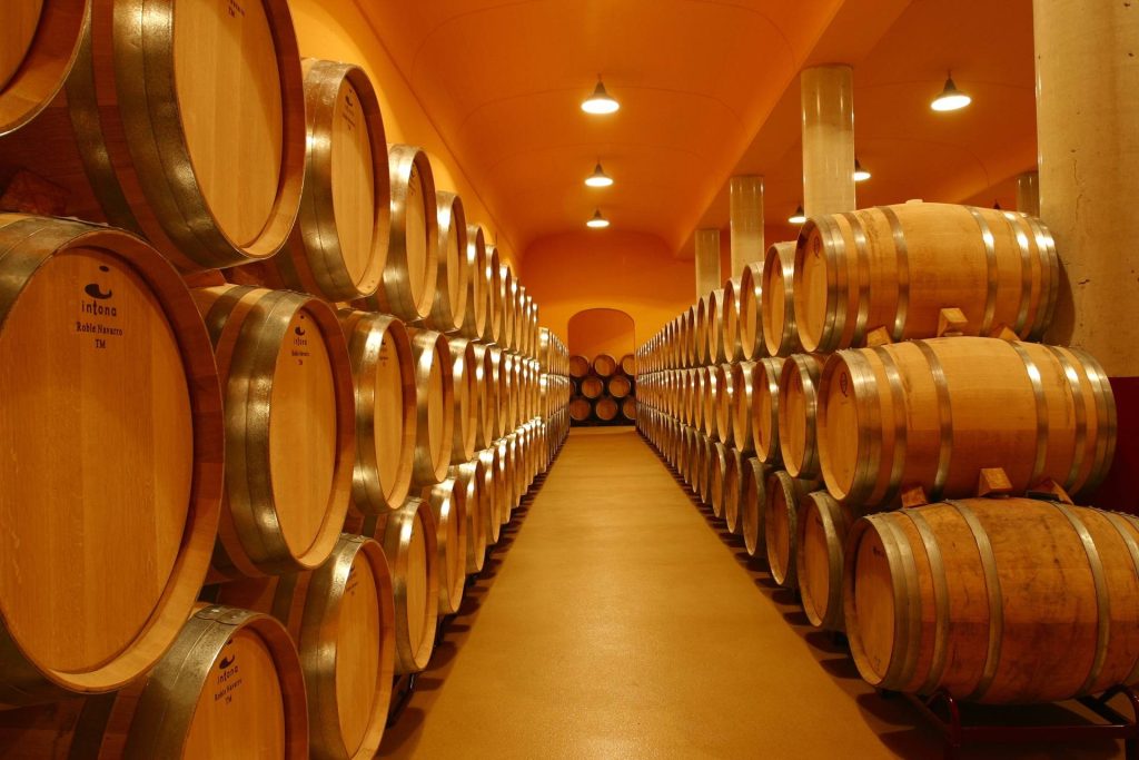 Wine Tourism Visit