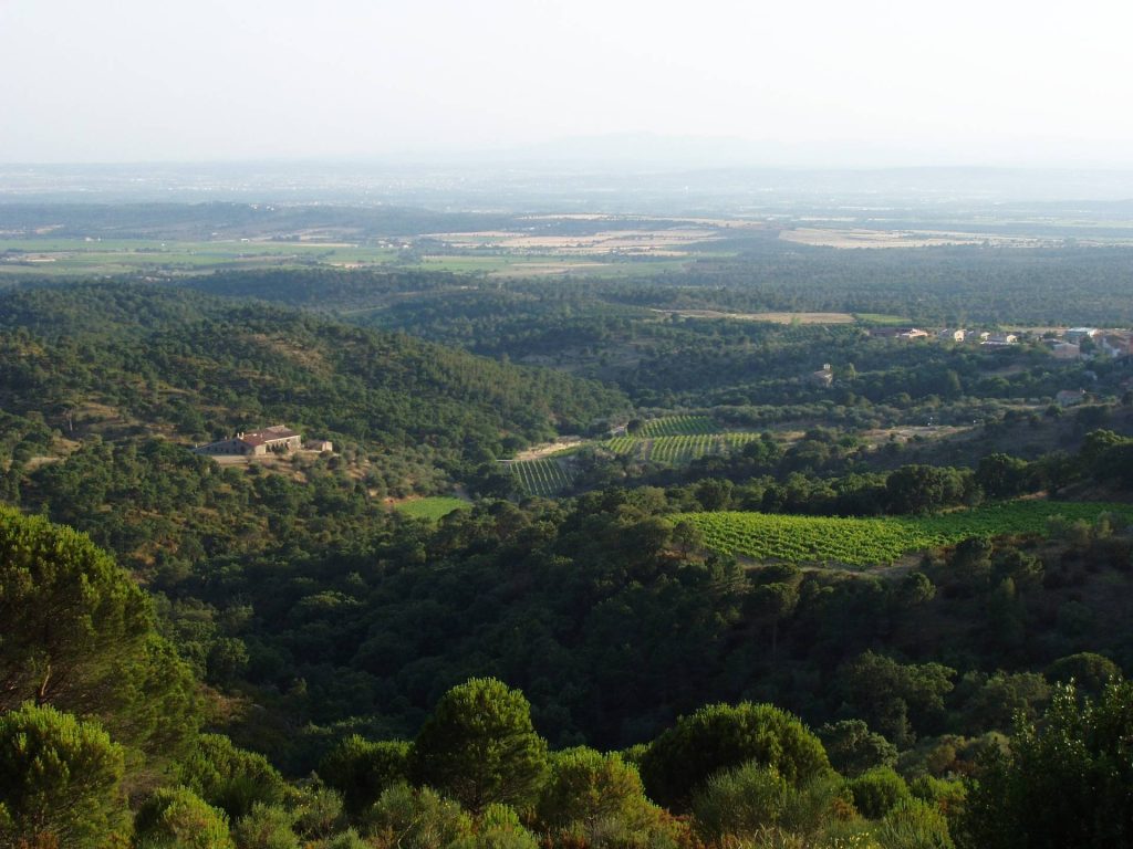 Celler Mas Pòlit