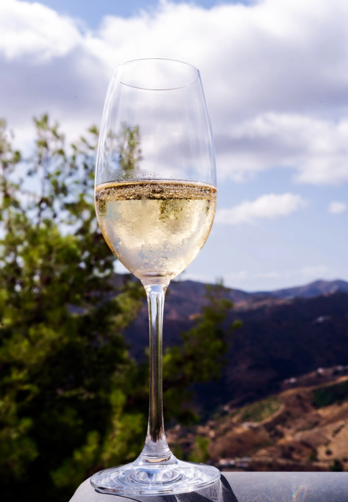 Visit and Tasting