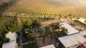 HERDADE DA ROCHA