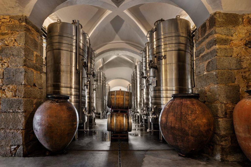 Master of Wine