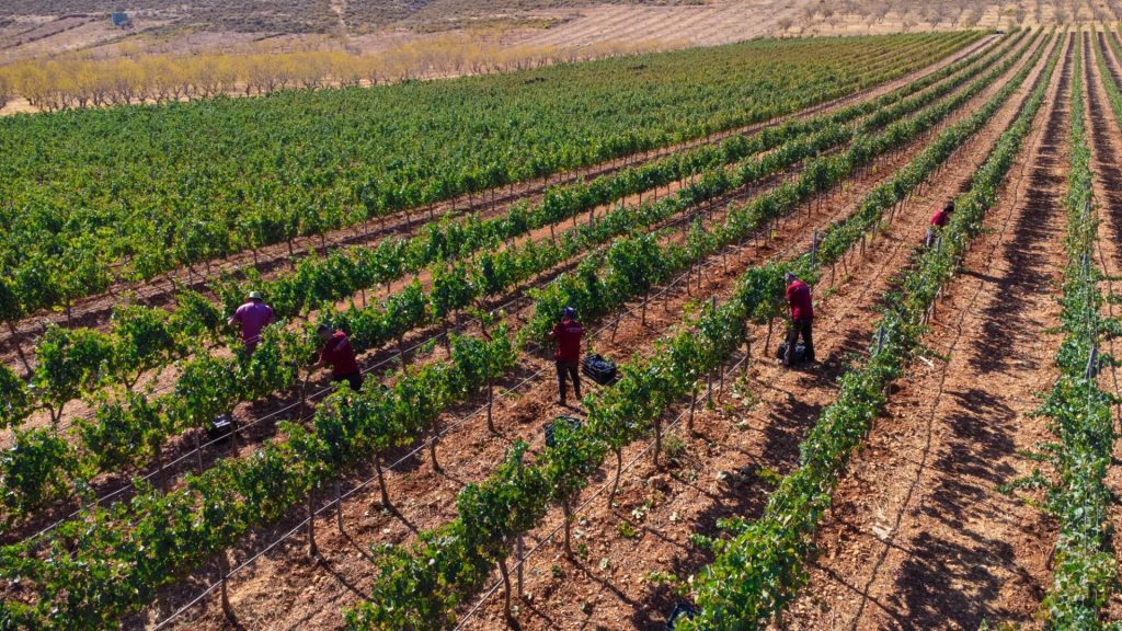 Bodegas Calvente
