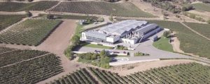 BODEGAS CEPA 21