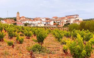 RAICES IBERICAS SL