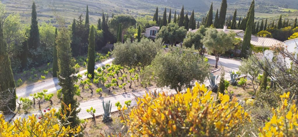 Domaine Sarrat D’en Sol (Colline Du Soleil)