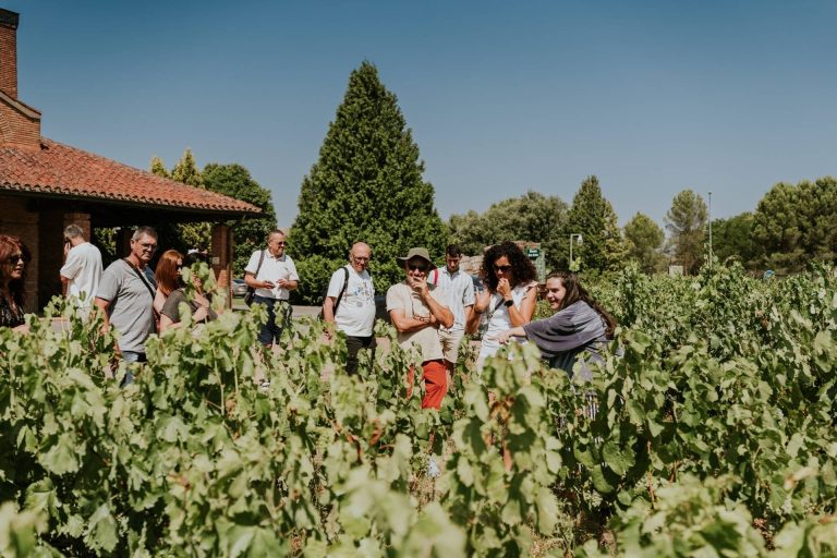 Bodegas Viña Ijalba