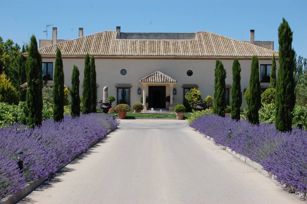 Martúe Bodega