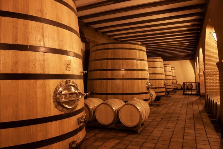 Bodegas Mocén
