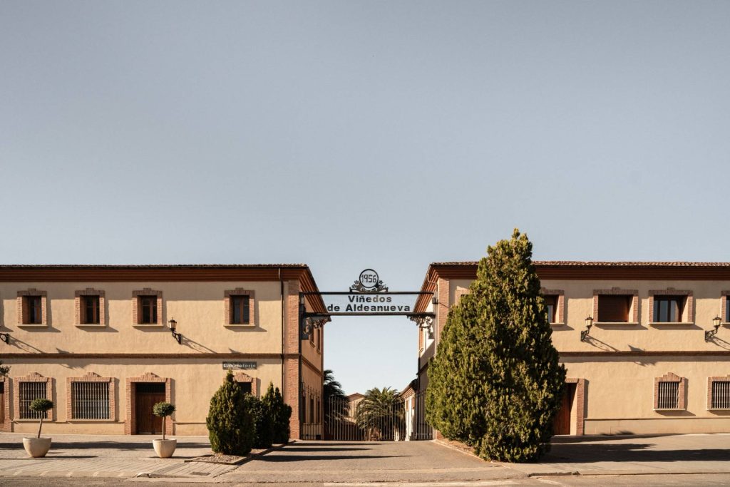 Viñedos de Aldanueva