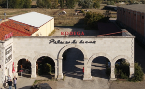 BODEGAS PALACIO DE LERMA